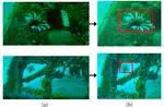 Design and implementation of an assistive real-time red lionfish detection system for AUV/ROVs